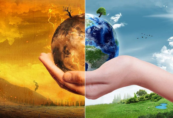 Adaptation Run Amok