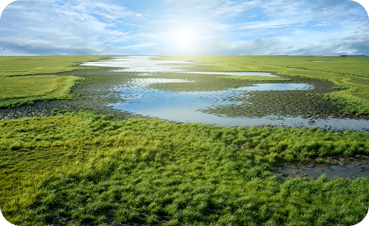 Why Nature Must Come First